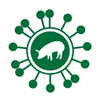 H1N1 Swine Flu Vaccine