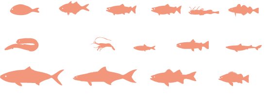 Which Fish Are Okay To Eat?